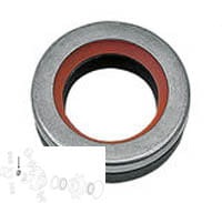 100529A1 Simering planetara fata CASE IH