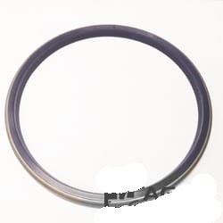 148745 Oring