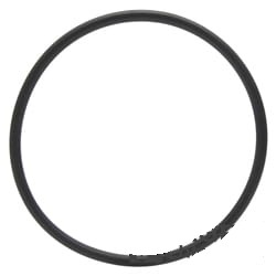302910A1 Oring