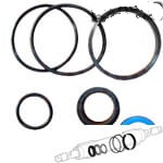 3443433M93 Set reparatii cilindru directie