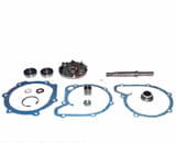 3641378M91 Kit reparatie pompa apa