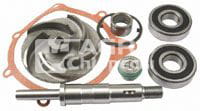 3641379M91 Kit reparatie pompa apa