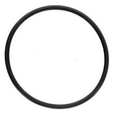 3815650M1 Oring