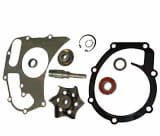 4225070M91 Set reparatii pompa apa