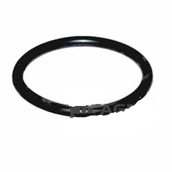 6005010286 Oring