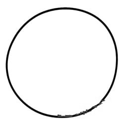 81658C1 Oring