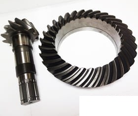 ER066294 Grup conic fata