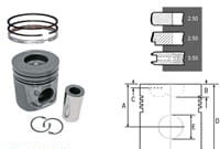 U5LP0058 Piston+ Bolt  STD