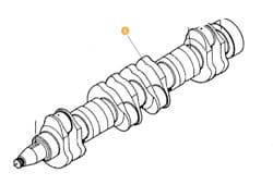 V836855910 Arbore