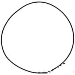 X549027001000 Oring