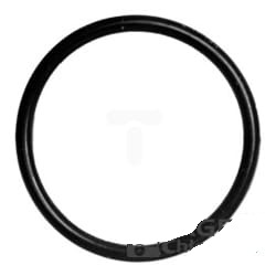 X549047515000 Oring