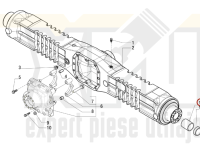 Bucsa 125390