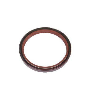 GARNITURA MWM ADAPTABLE RENAULT CLAAS 6005005198 7701021418