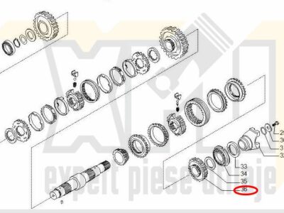 ROATA DINTATA 138969 Z=33