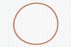 001.05.4562 Dana Spicer O-Ring