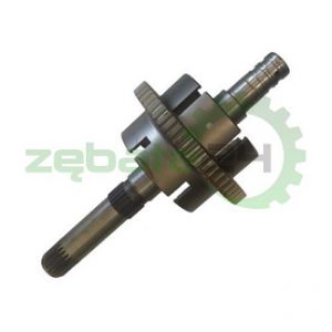 139388 Carraro Wałek