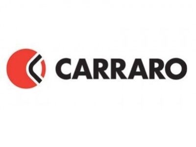 44725 Carraro oil seal