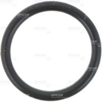 ZTAM-00484 Hyundai O-Ring