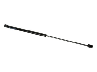 Amortizor cu gaz luneta spate Case New Holland