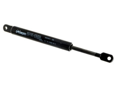 Amortizor cu gaz pentru trapa Fendt X800420446000